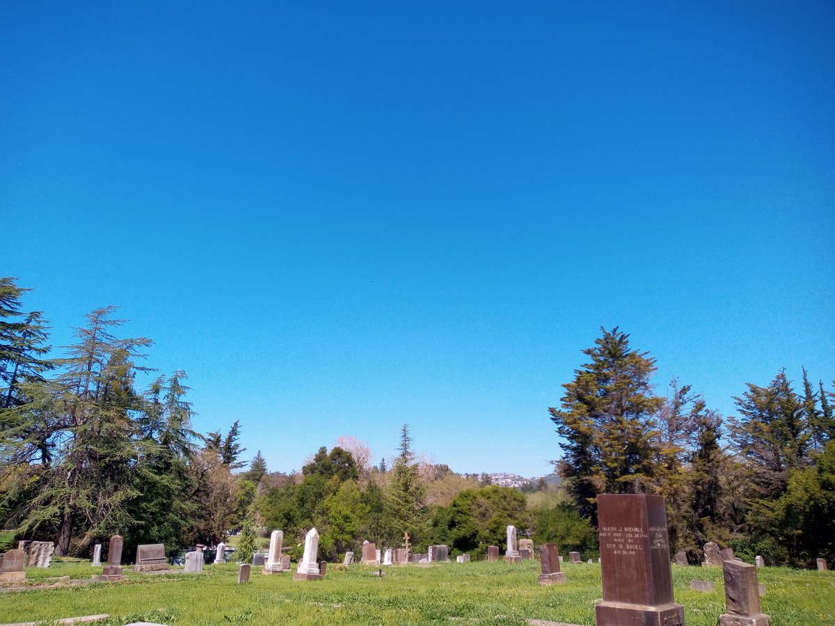 Kat The Red tweet media