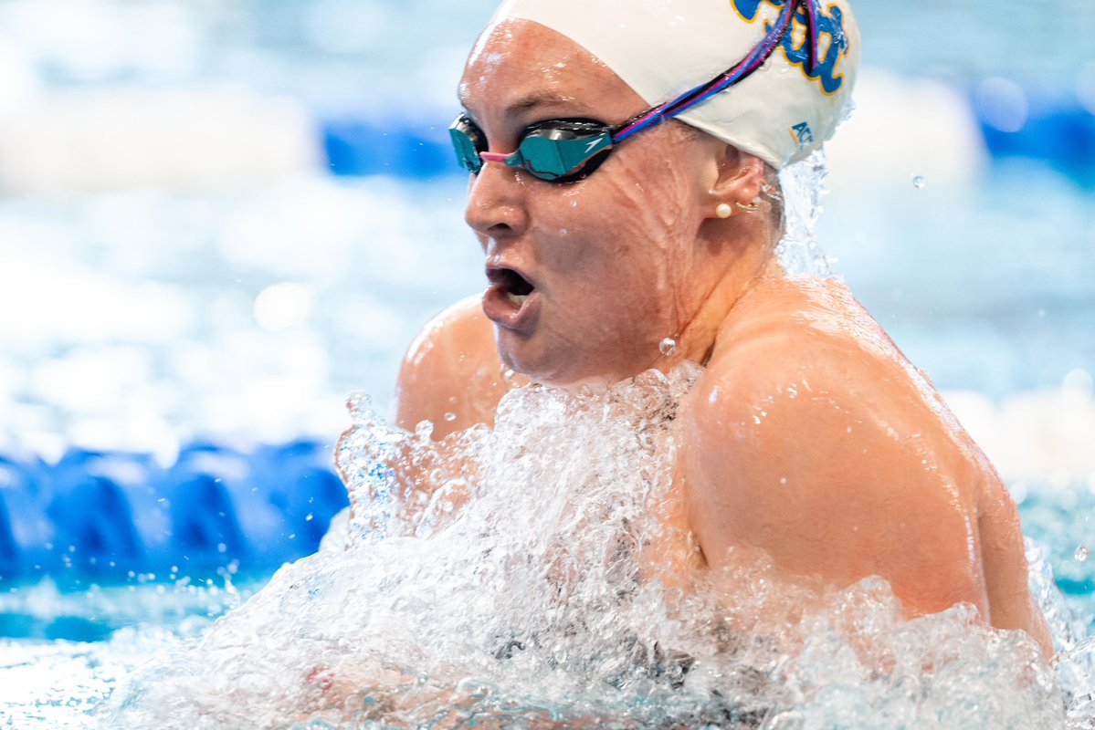 Pitt Swim & Dive tweet media