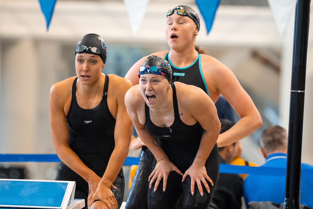 Pitt Swim & Dive tweet media