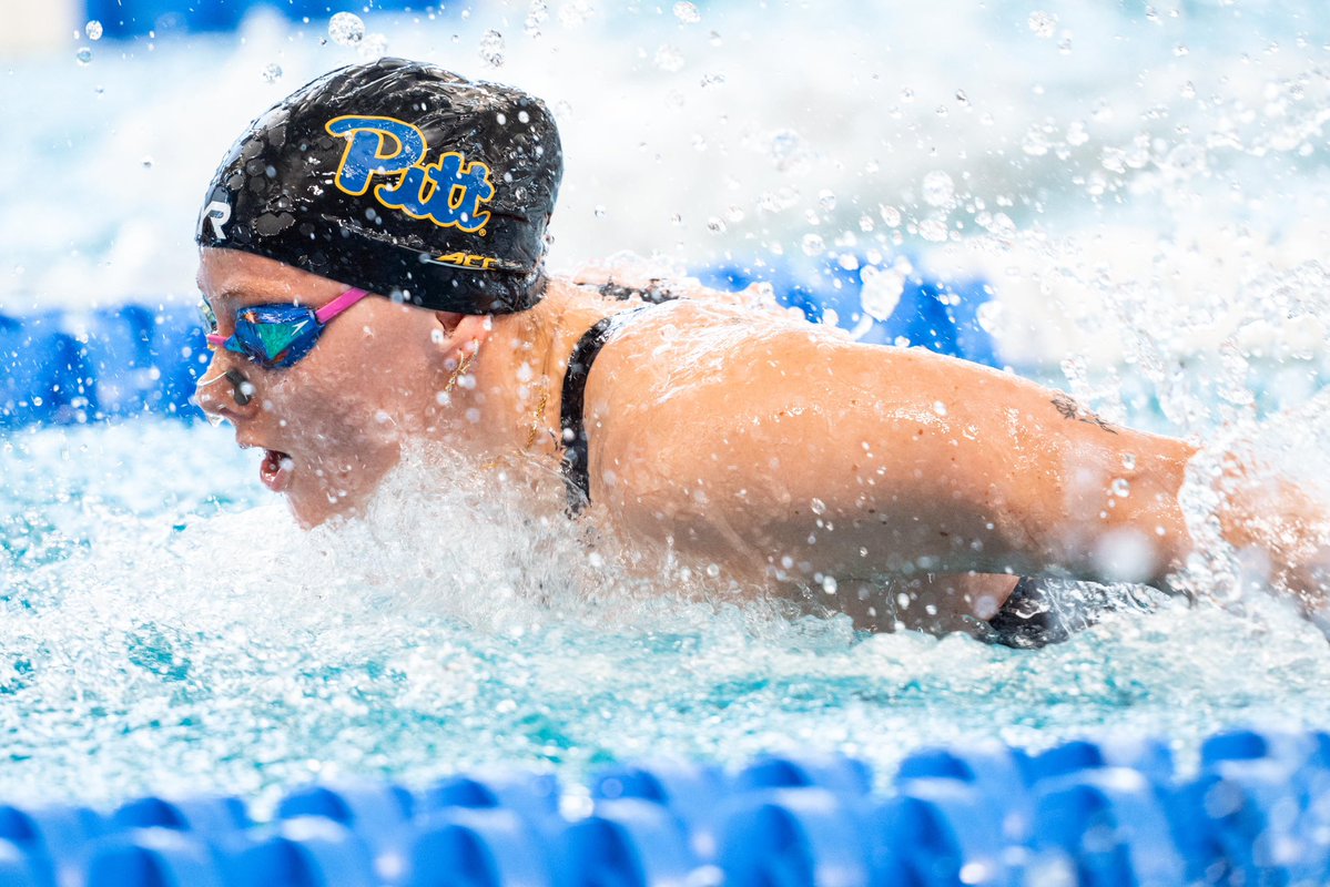 Pitt Swim & Dive tweet media