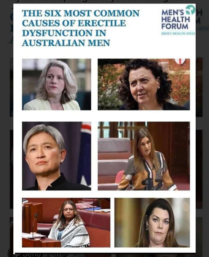 Australian Patriot. tweet media