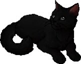 daily warrior cats pairs! tweet media