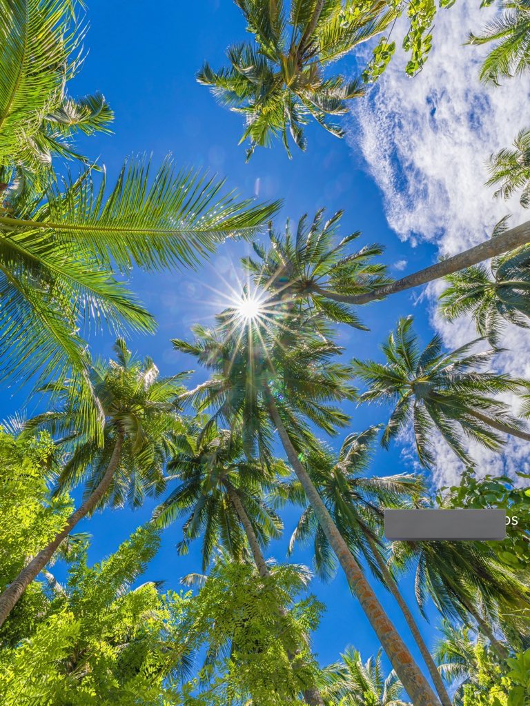 WATCHER ⚔️ tweet media