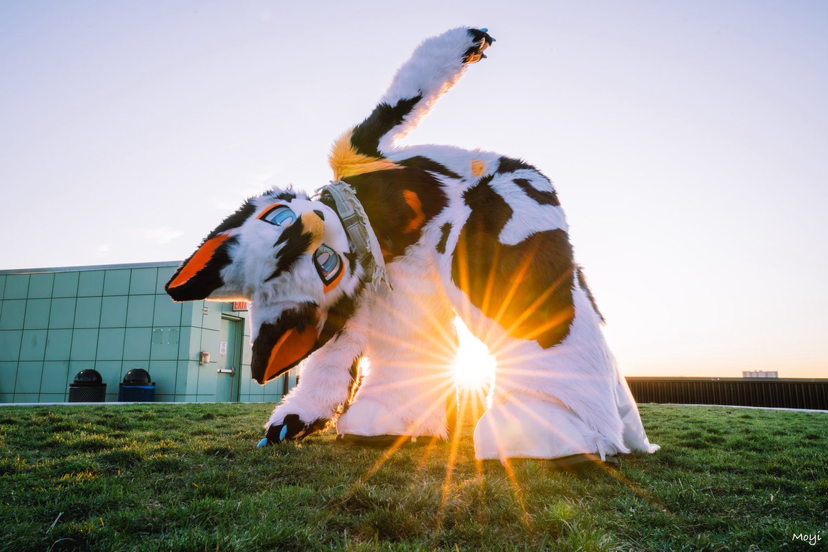 凌汐Jeffrey tweet media