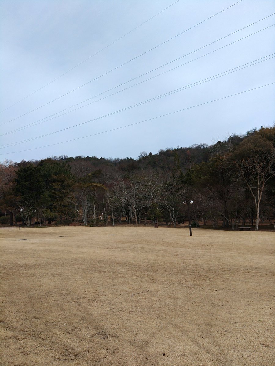 ねお tweet media