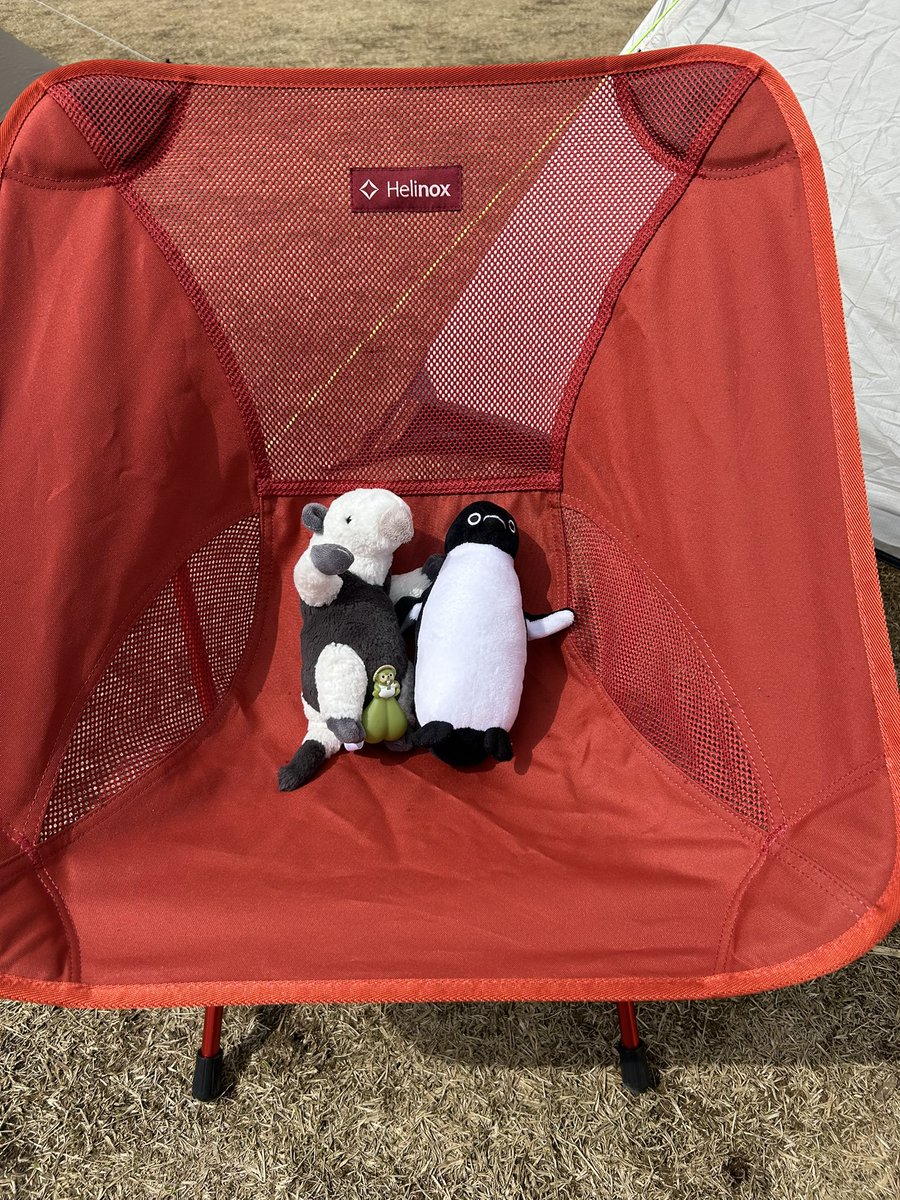 スーシ˝ー tweet media