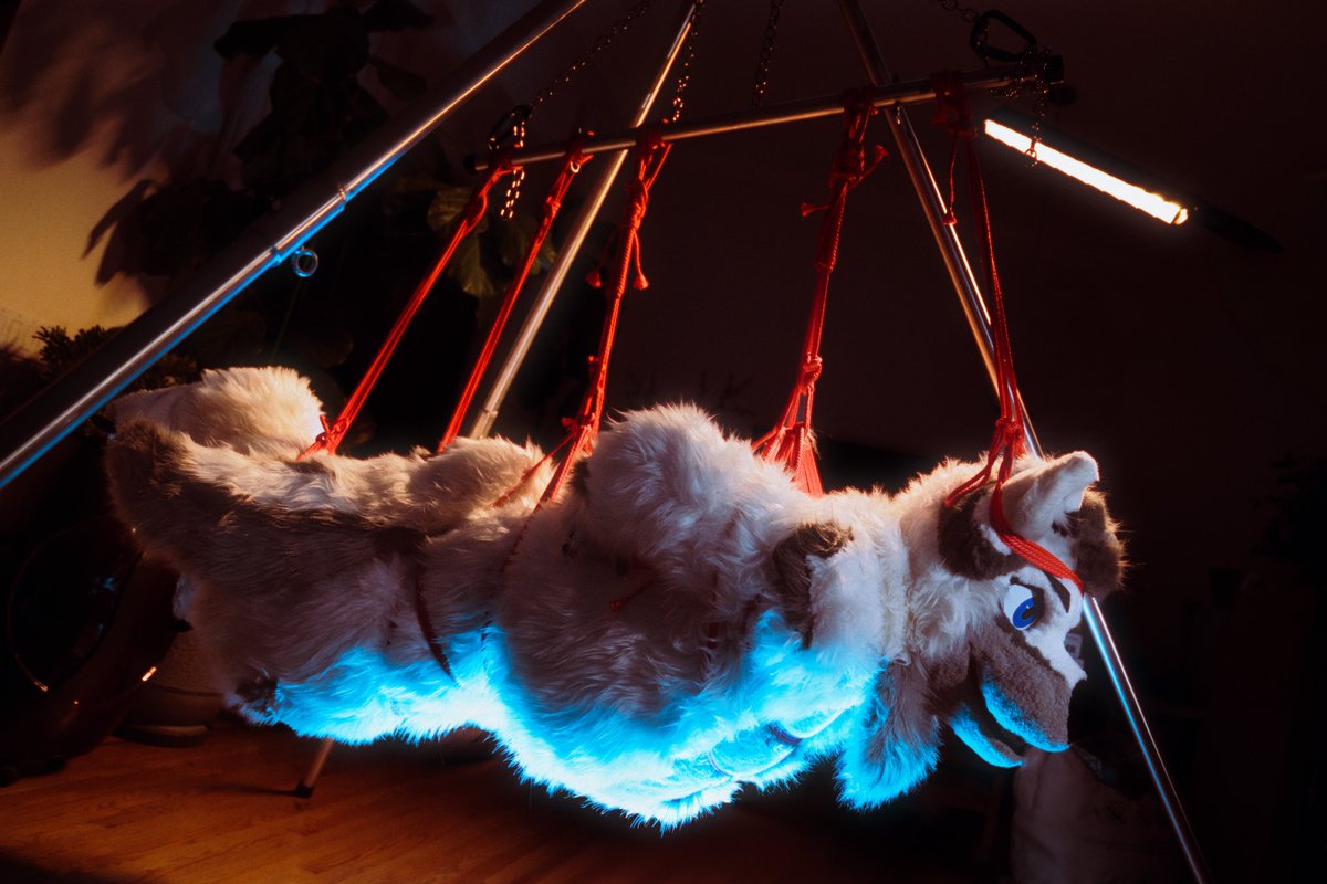 放課後部 ｓｈｉｂａｒｉ🪢 tweet media