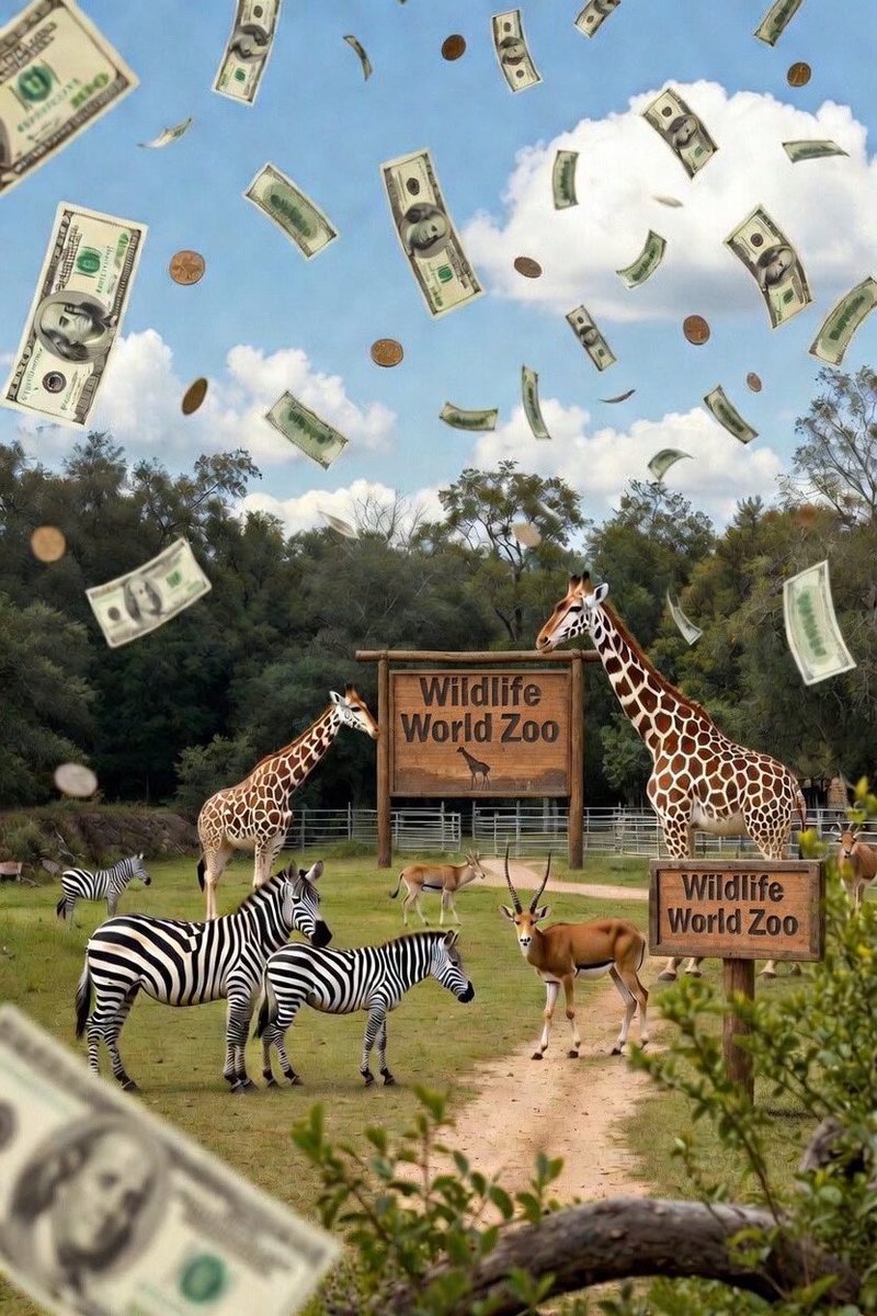 SpongillionaireJoe tweet media