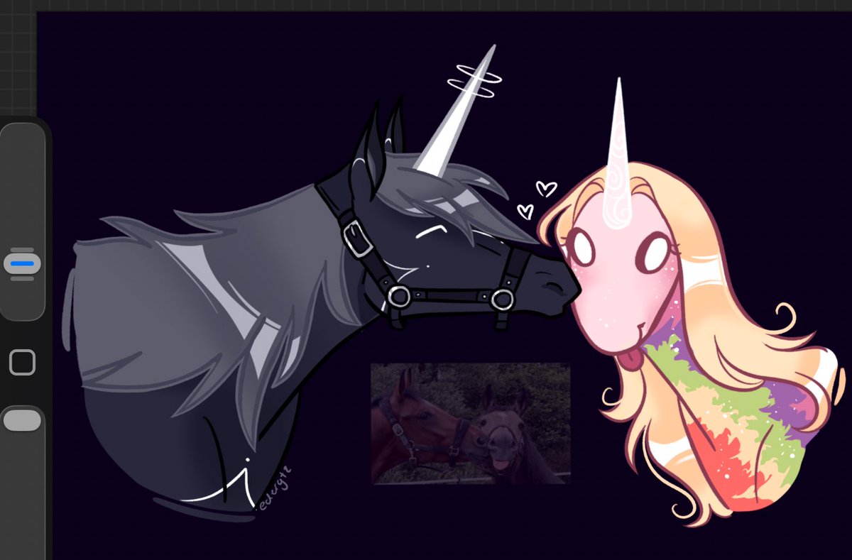 EderGTZ 🍉 tweet media