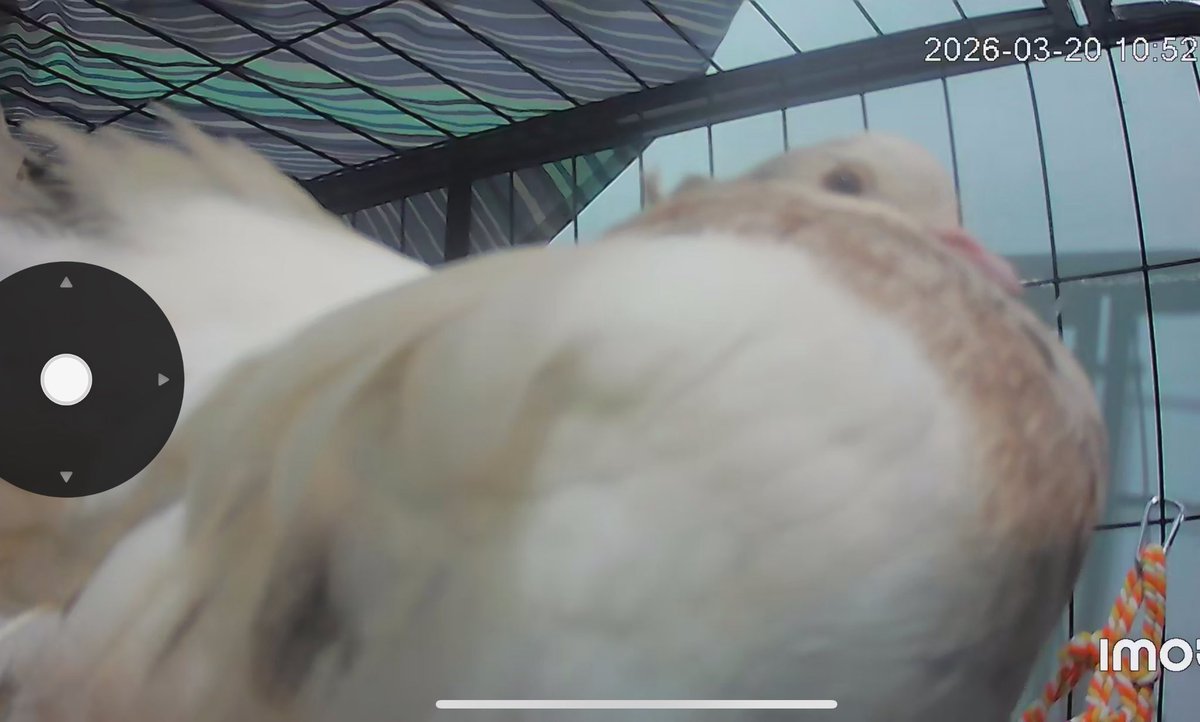 𝐋𝐢𝐟 ︎︎ ︎ ︎︎ 𖥔₊ ݁ ︎︎ ︎ ︎︎ tweet media