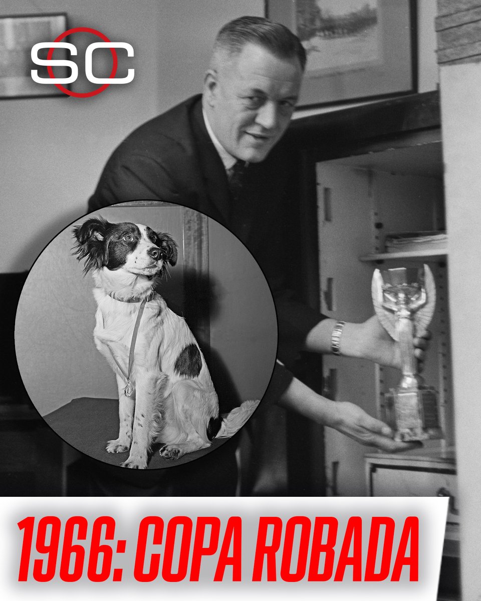 SportsCenter tweet media