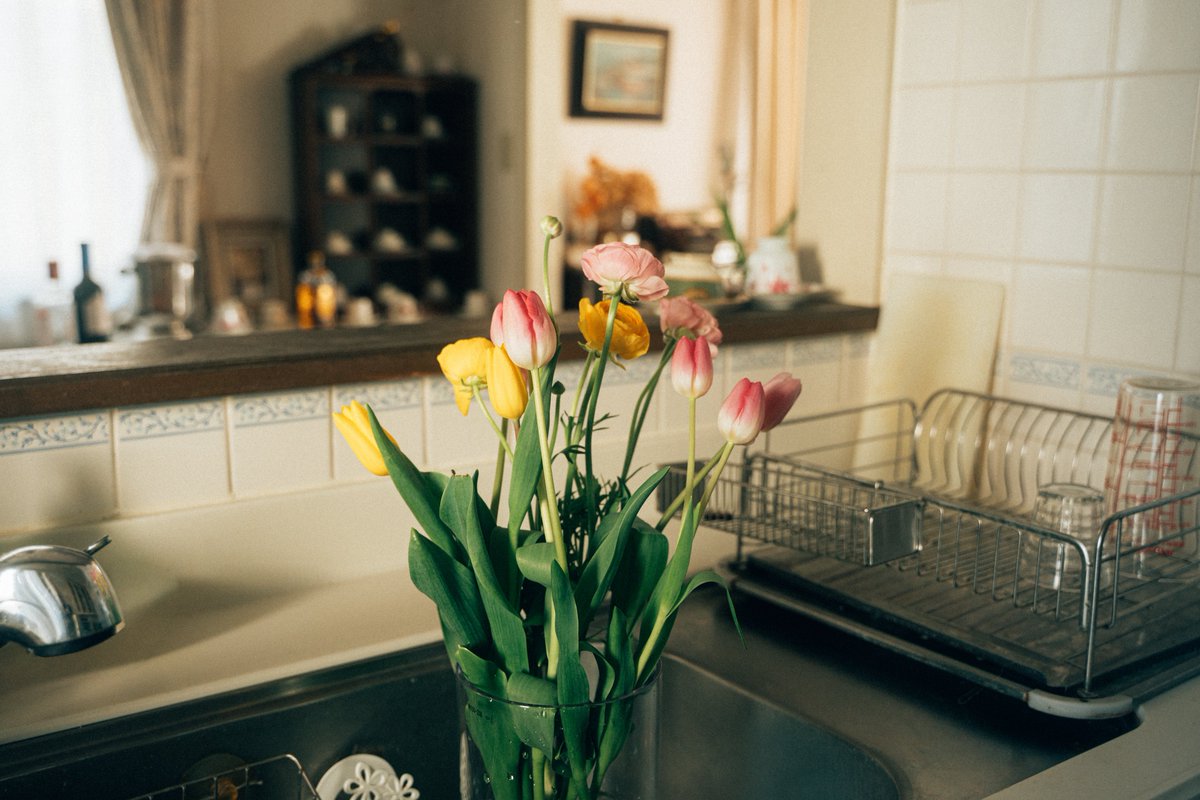 染谷ノエル/Noelle Someya tweet media