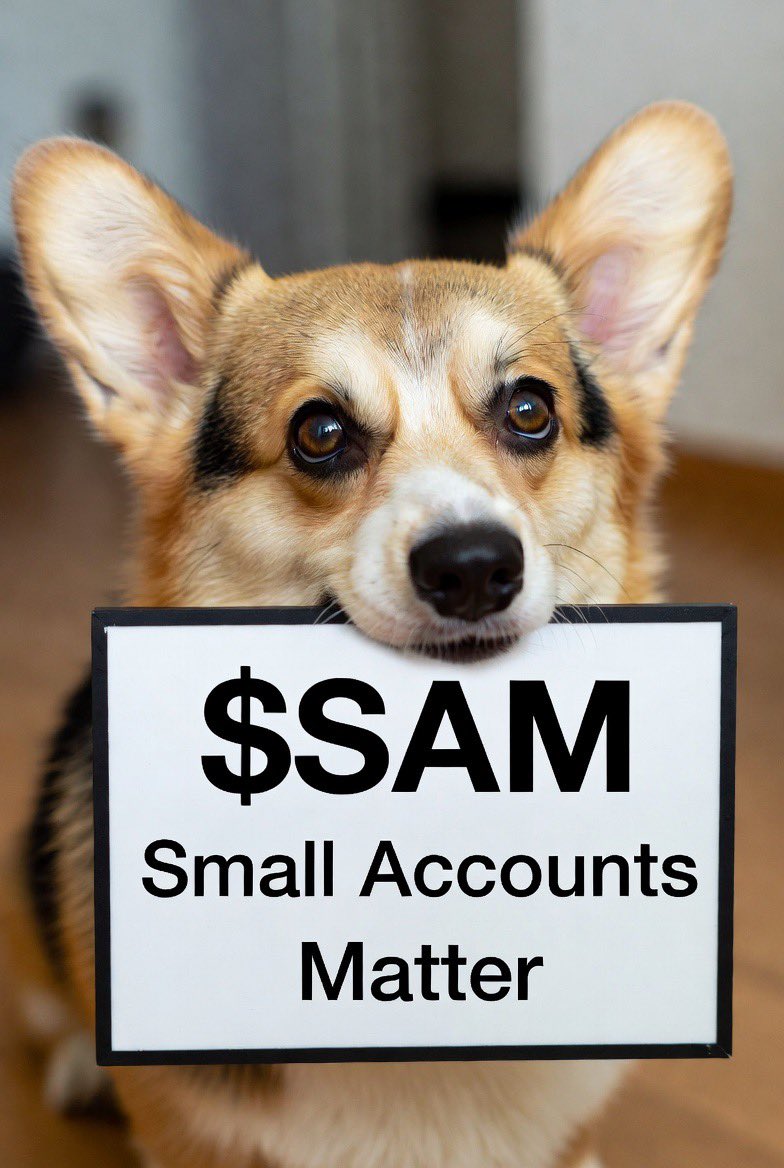 corgistudio.io Marketplace tweet media