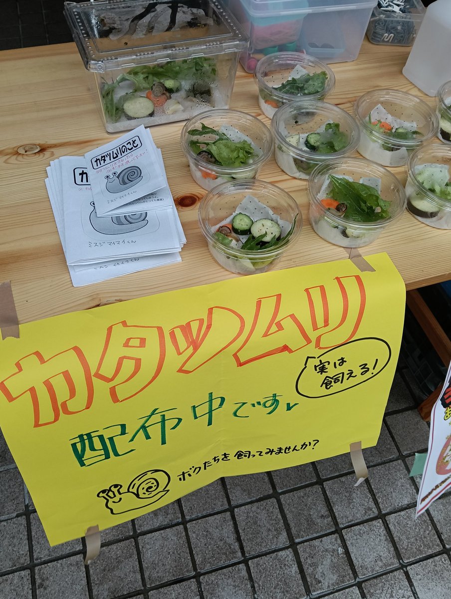 ロロクイズの中の人 tweet media