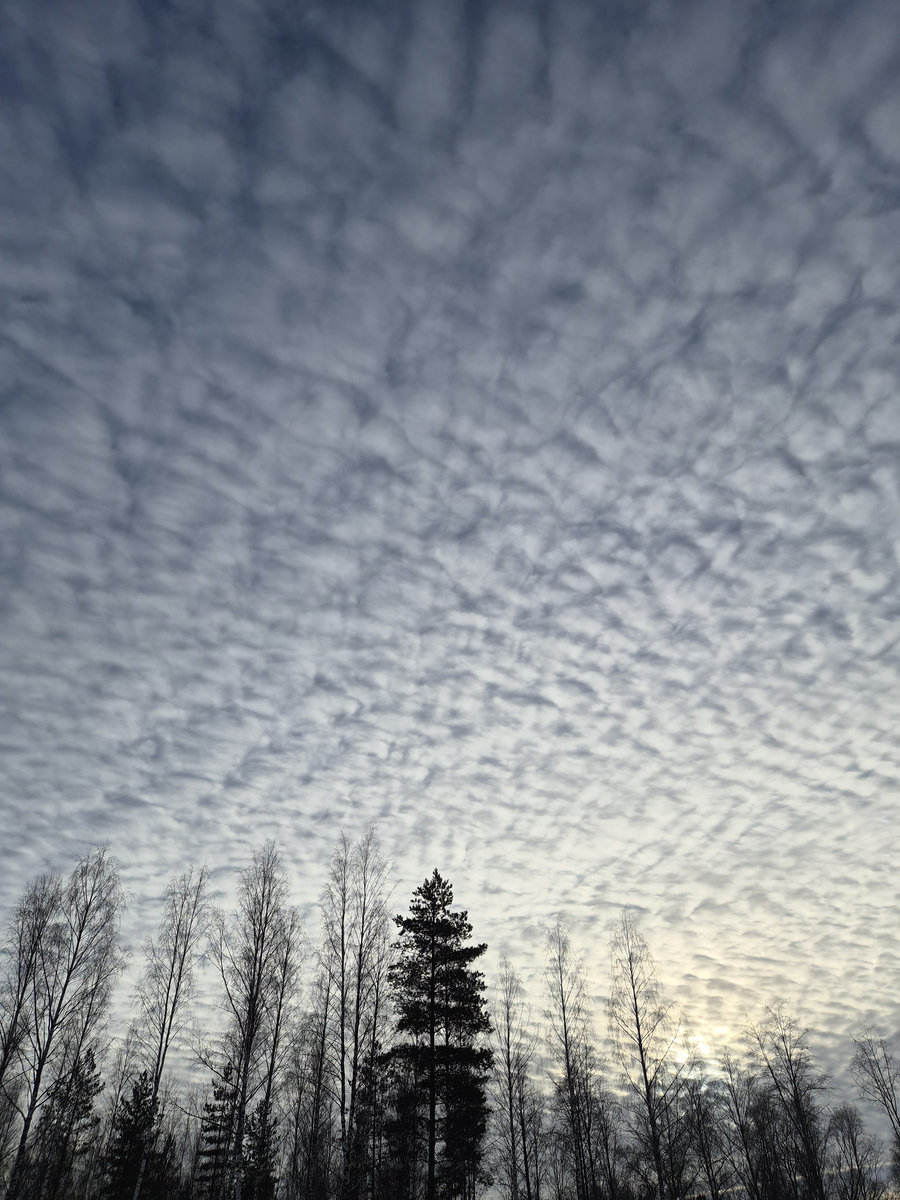 pHinnWeb tweet media