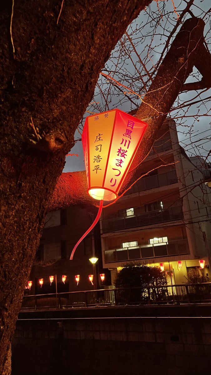 しろ tweet media