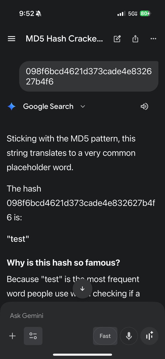 Whimsical Whiskers & Wisdom tweet media