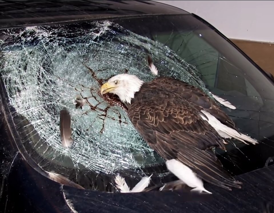 La Raza Respecter 40K 🇲🇽🚀🇰🇵 tweet media