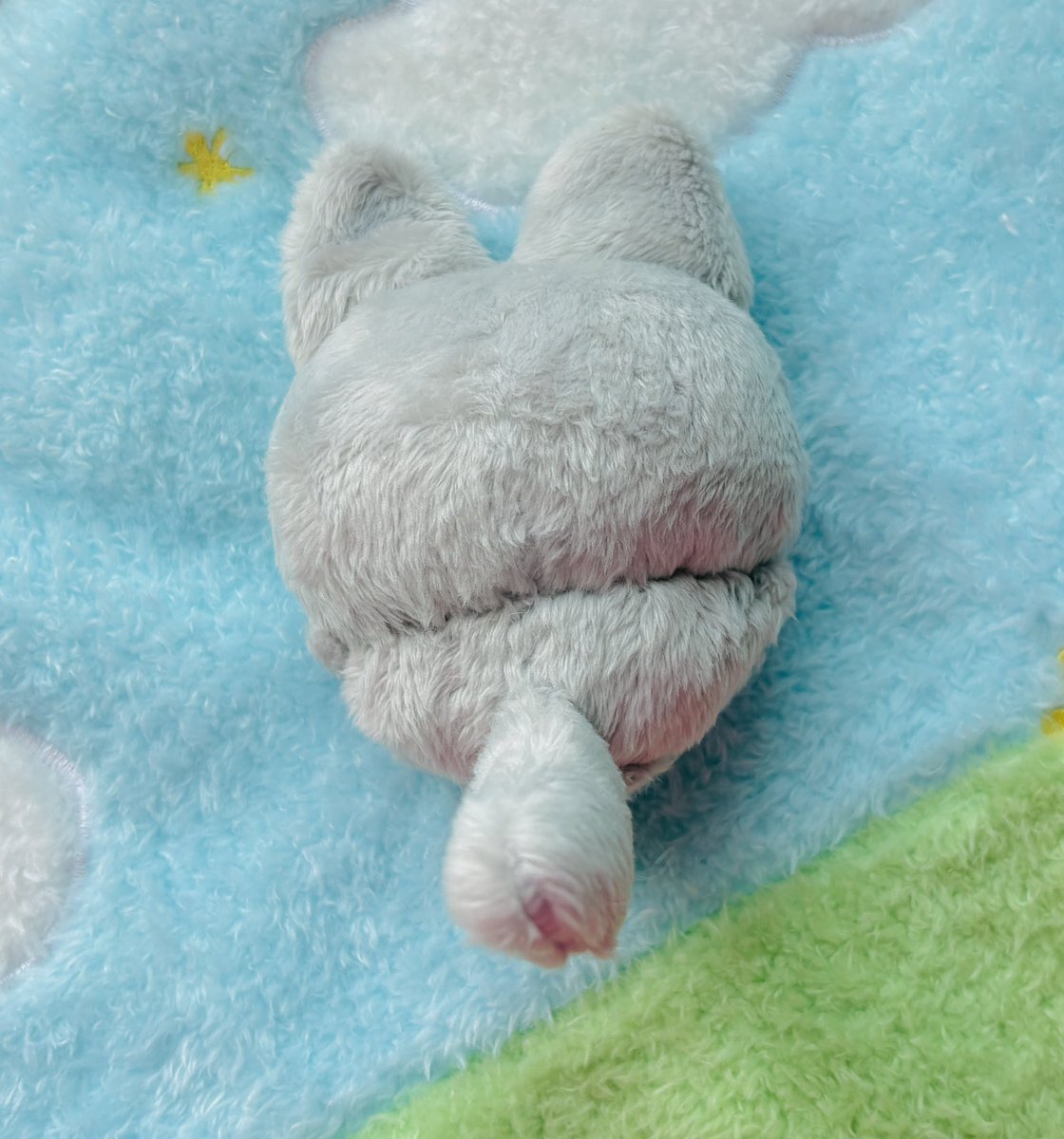 릴리피피🎀 tweet media