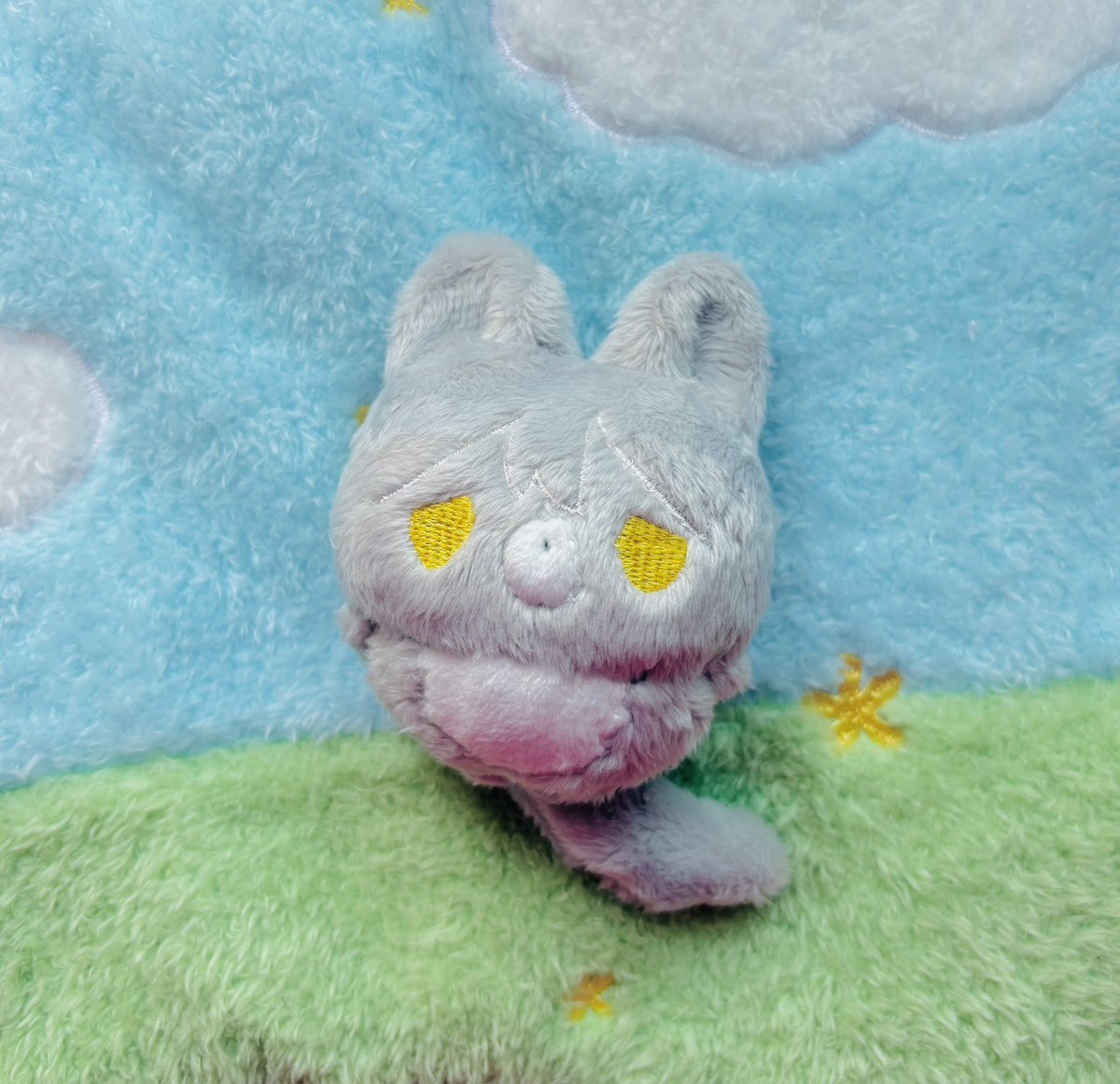 릴리피피🎀 tweet media