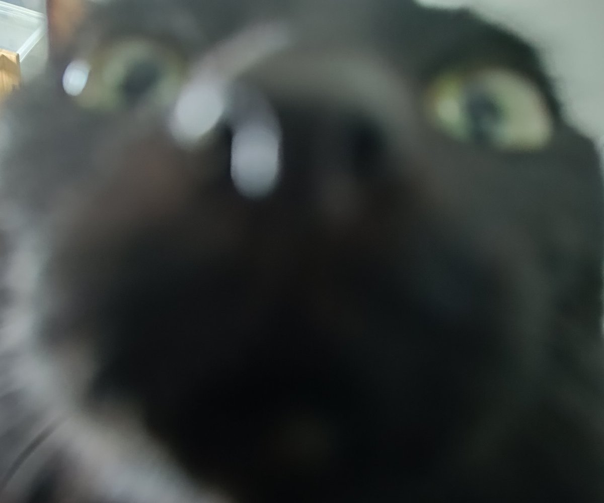 Stamp LMTY 👑 ⌜VZ⌟ tweet media