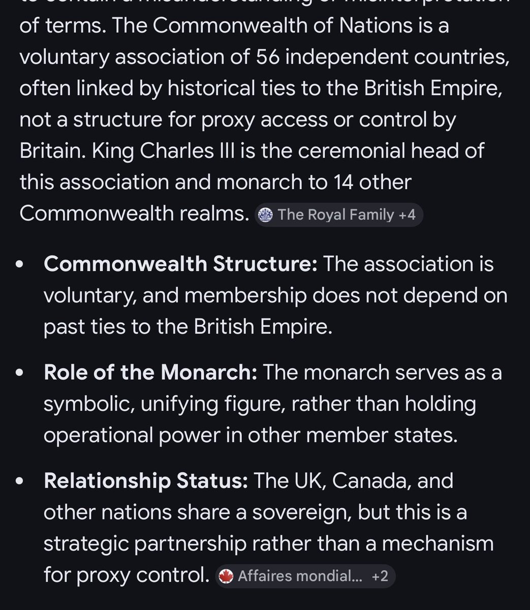 NaddyKat.Algo tweet media