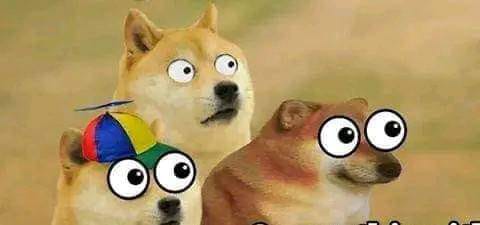 WareHouse 🦅 tweet media