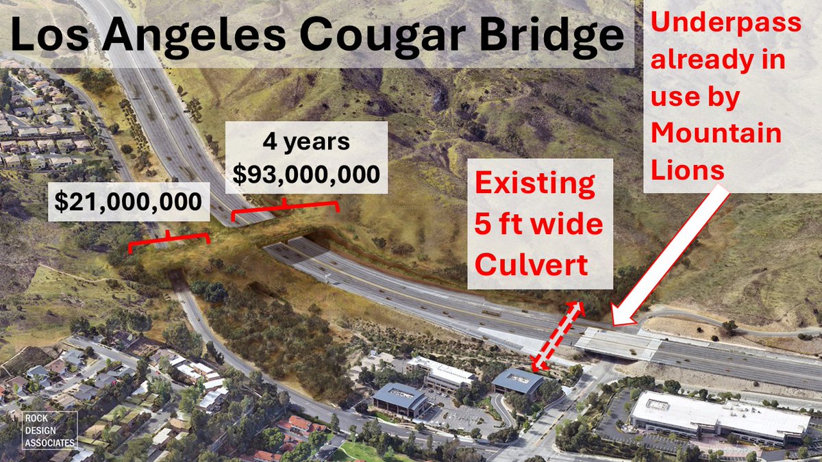 Psychohistorian, CCW 🇦🇶 tweet media