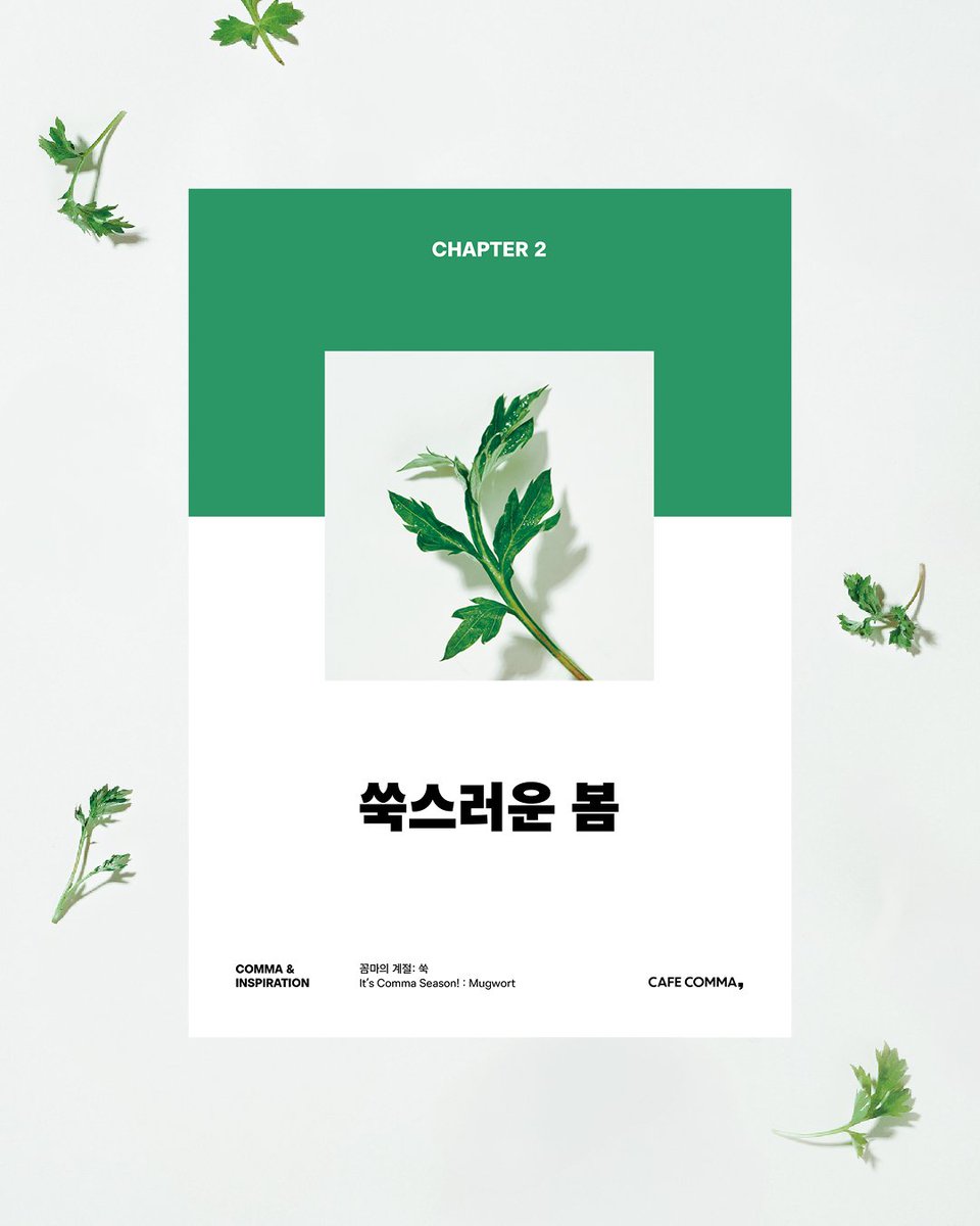 cafecomma_'s tweet photo. CHAPTER 2. 쑥스러운 봄

이른 봄, 막 고개를 든 쑥잎처럼
시작은 조용하고,
조금 쑥스럽게 찾아옵니다.

새로운 계절 앞에서 우리는 고민하죠.
지금의 나에게 필요한 변화는 무엇일지,
어떤 선택이 다음으로 이어질지.

그런 당신을 위해,
먼저 자라고 있던 봄의 문장들을 이곳에 두었어요. https://t.co/cuptjx9ZAs