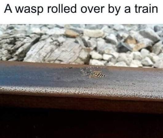 AmericaReal tweet media