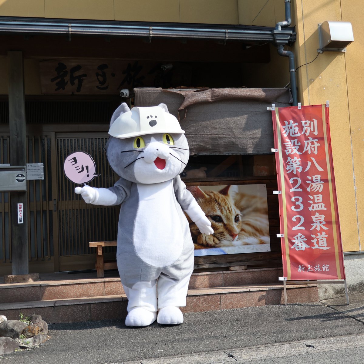 nyantamach222's tweet photo. 新玉旅館にはいろいろな猫がやってくる

現場猫、ウミネコ、態度がデカい猫 https://t.co/Q9SRp1WmZq