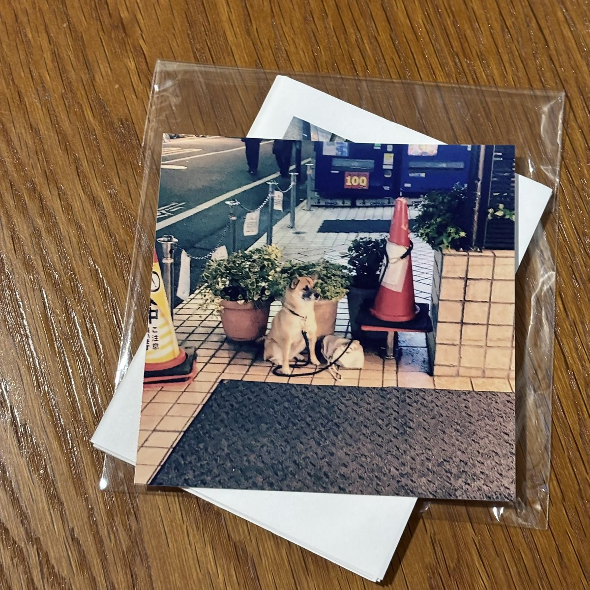 Yasuo Totsuka tweet media