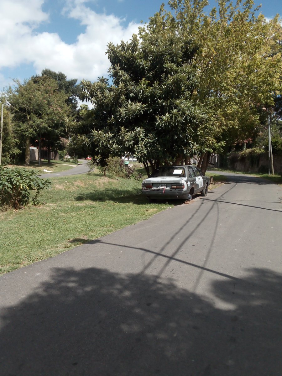 SILVIA GARCIA tweet media