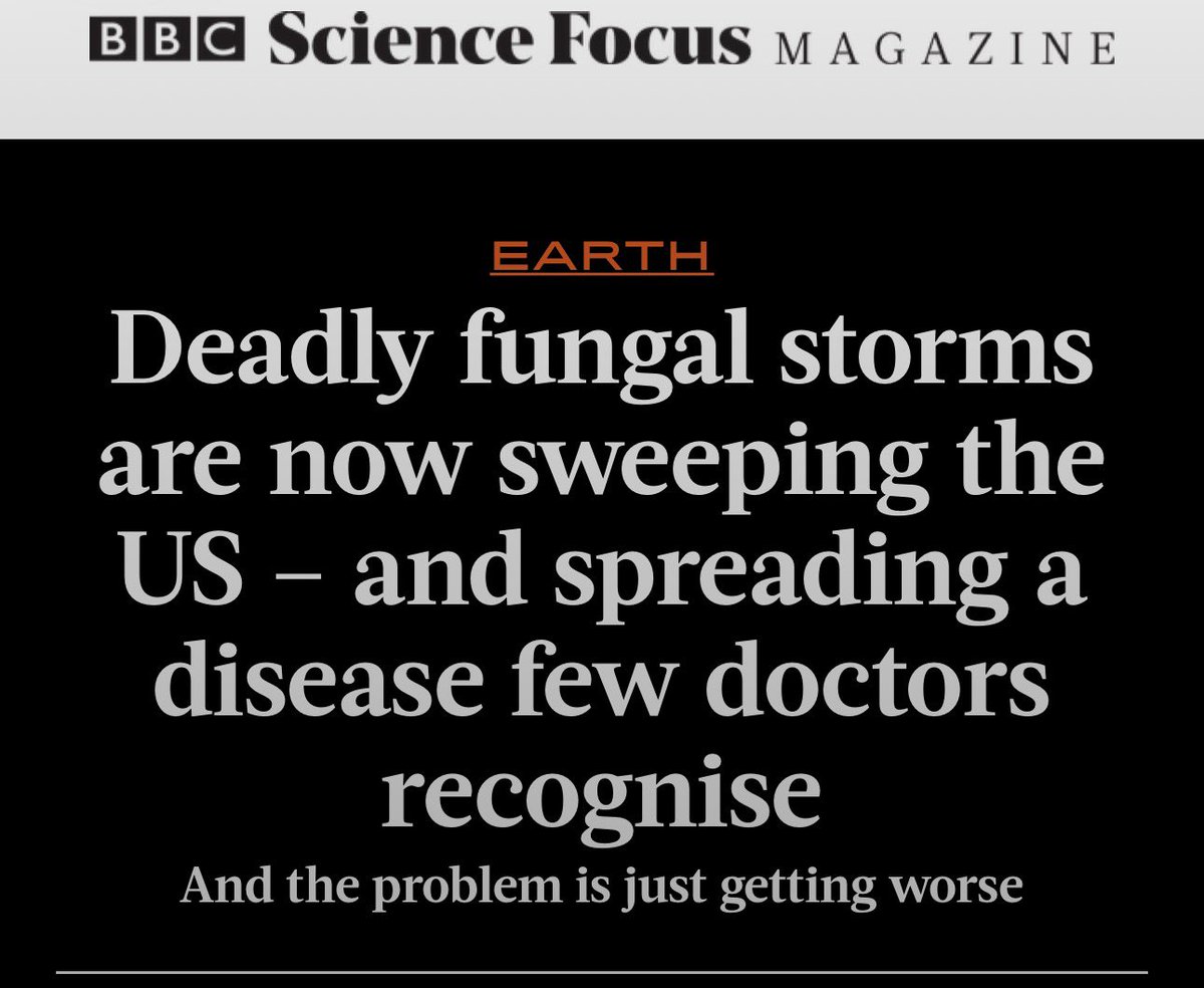 Outbreak Updates tweet media