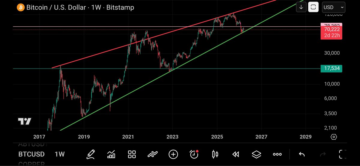 T. Cryptus tweet media