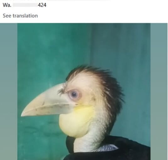 Dosen Kesayanganmu tweet media