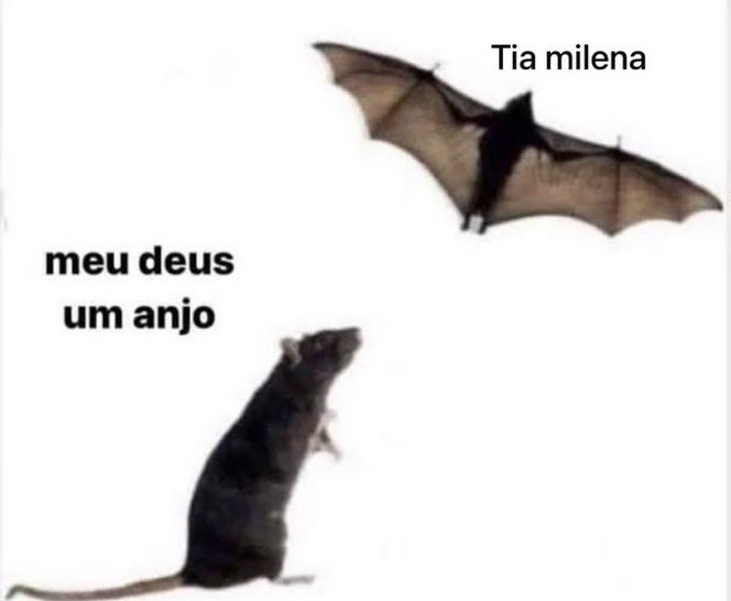 Criticância tweet media