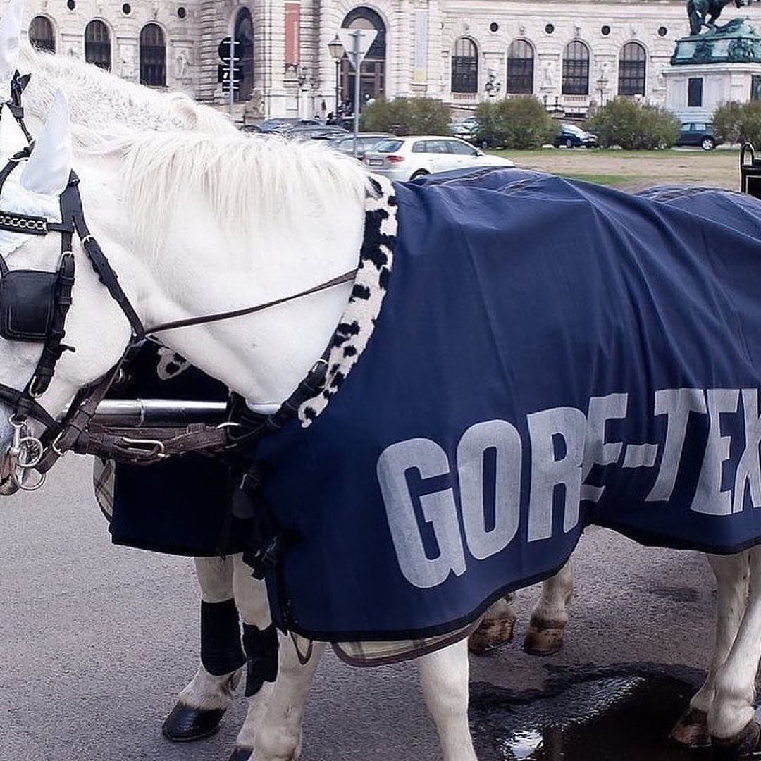 Composition tweet media