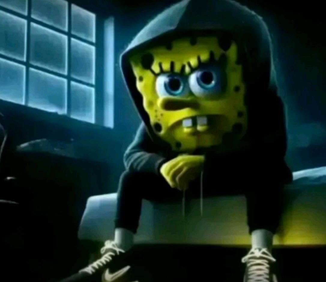 7Shzzdow tweet media