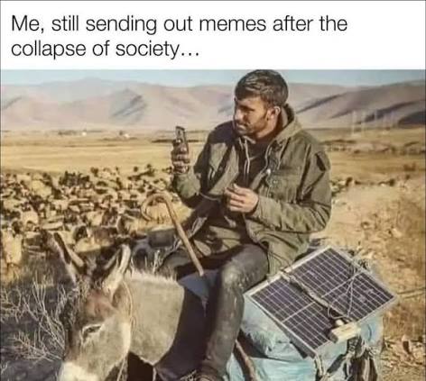 Dale Plemons tweet media