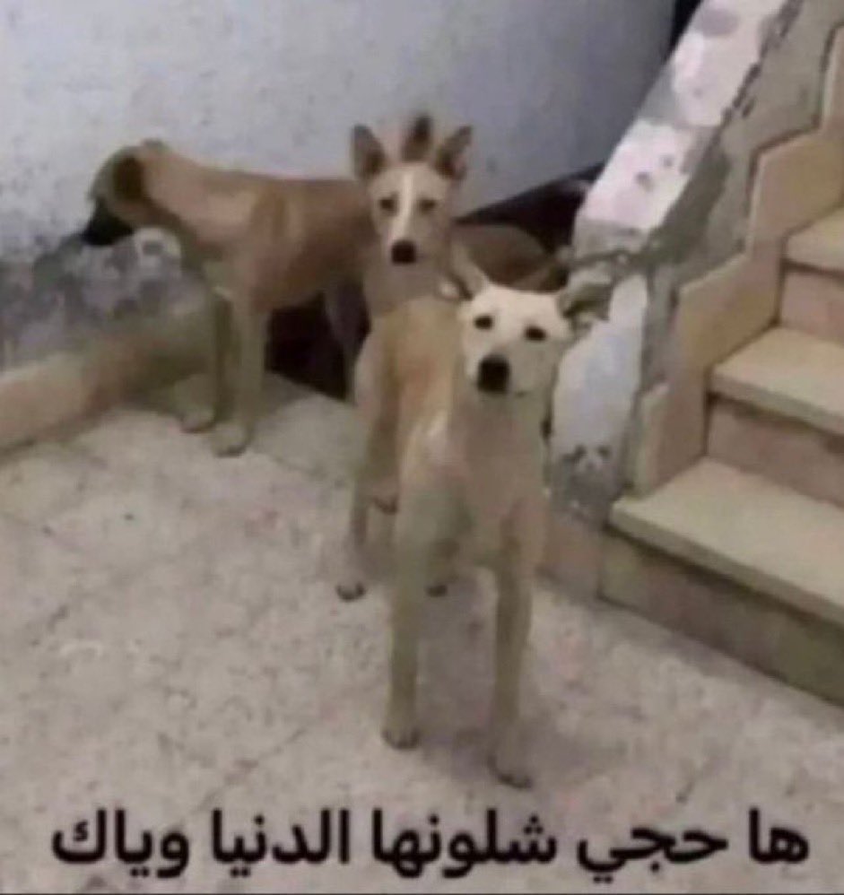 إكـه 🇸🇦 tweet media