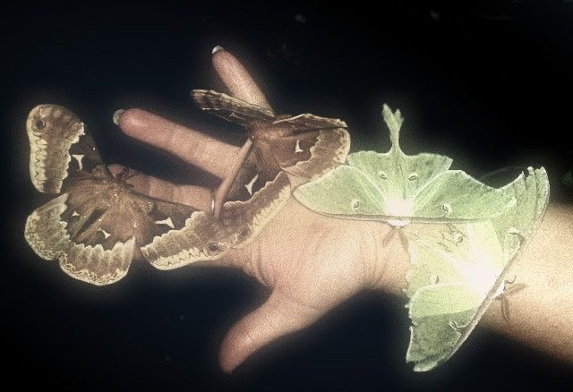 Blaize 🌙 tweet media