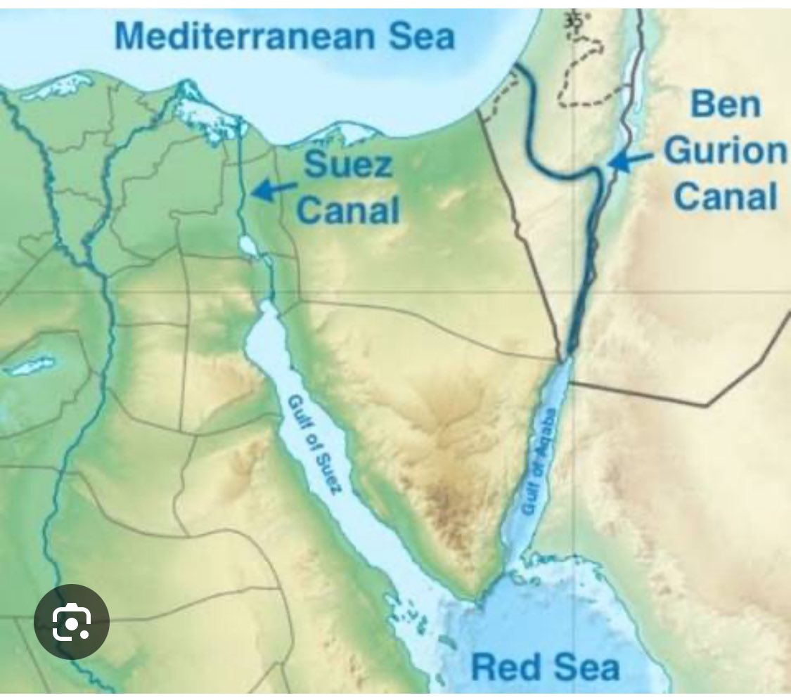 Fede Flores Magón tweet media