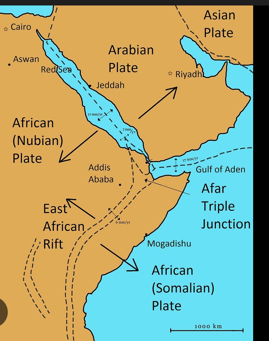 Fede Flores Magón tweet media