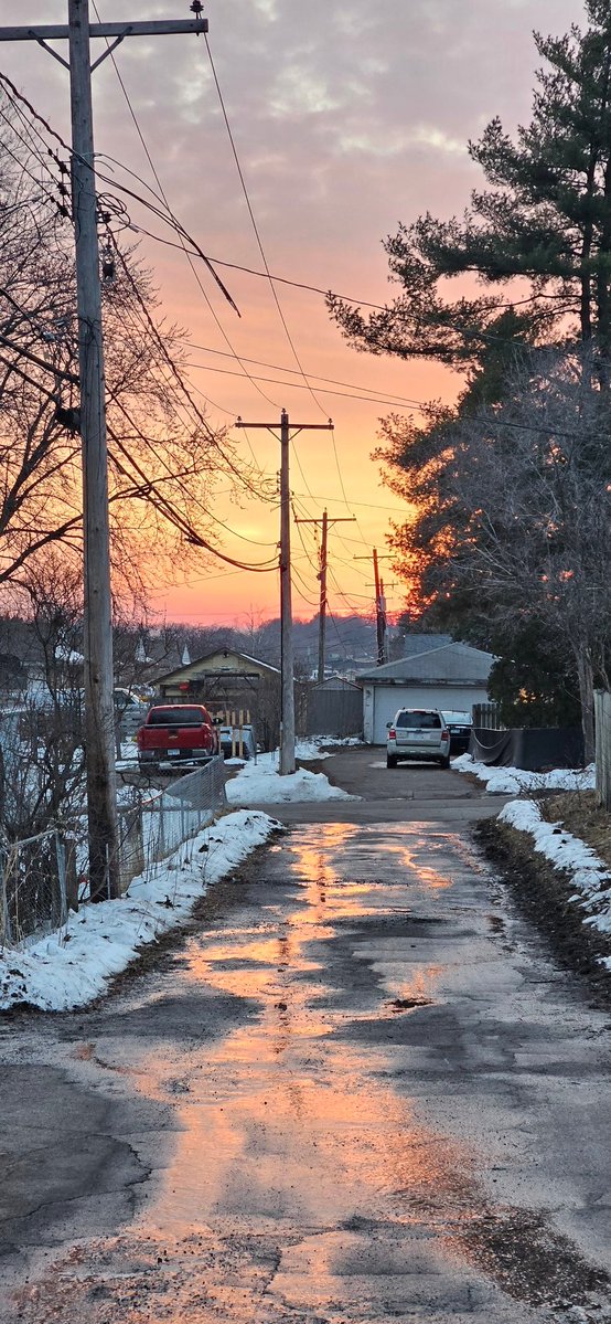 YellowJacket 🐝 tweet media