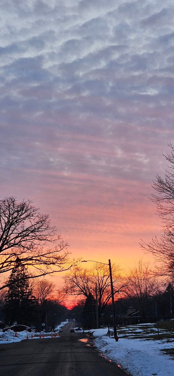 YellowJacket 🐝 tweet media