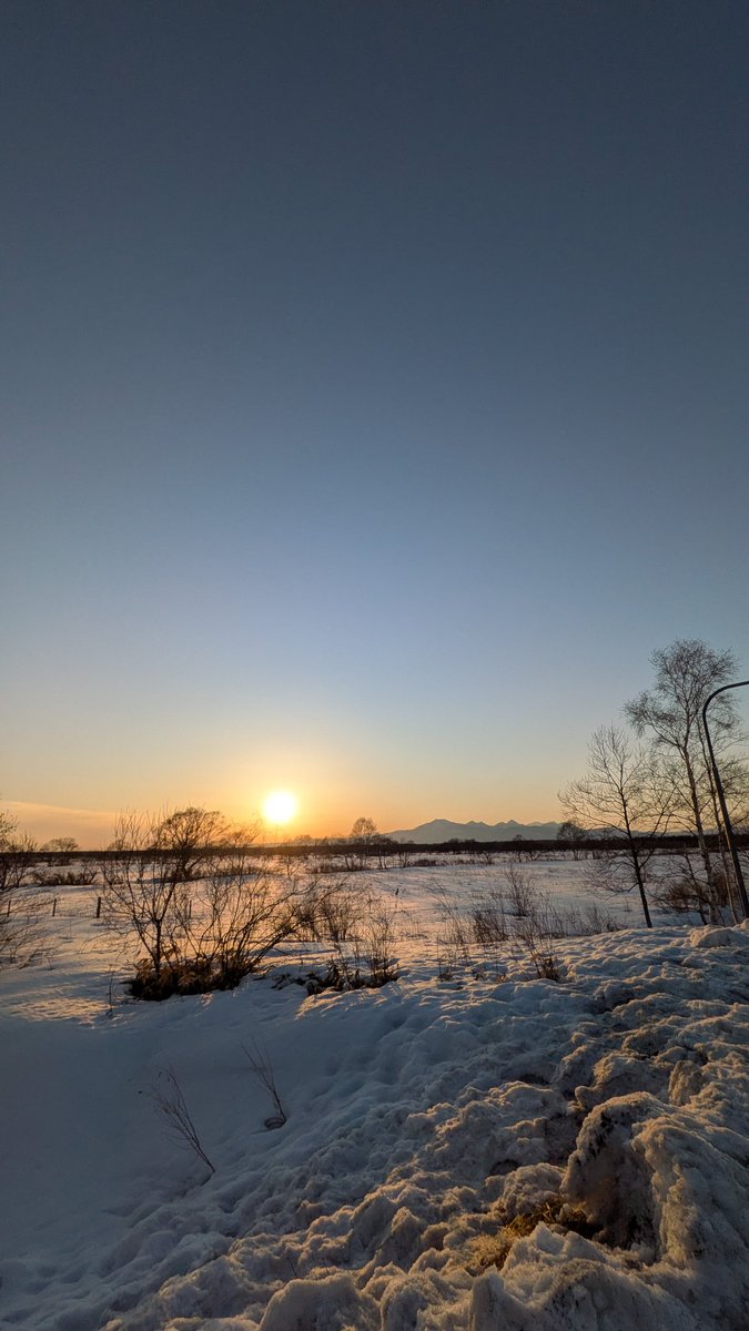 単なる釧路の会社員 tweet media