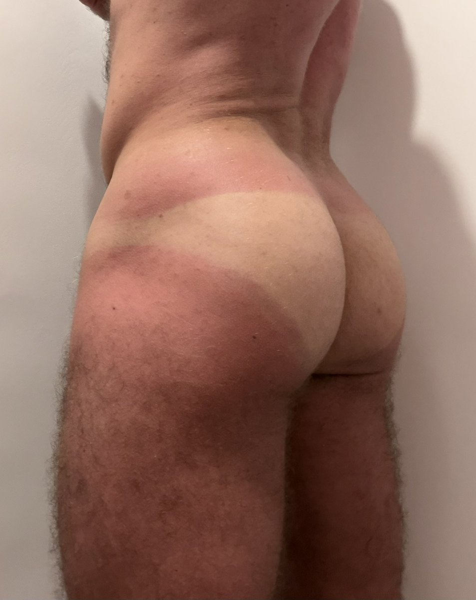 Pavlicity tweet media