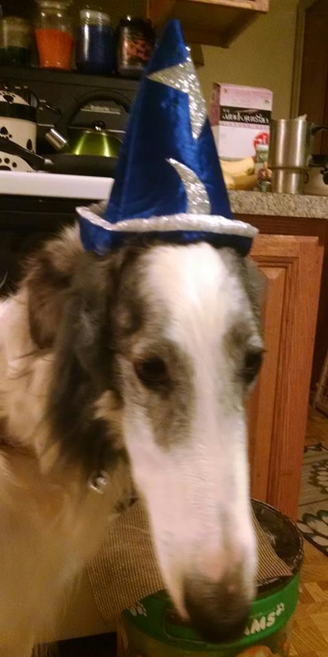 Borzoibot tweet media