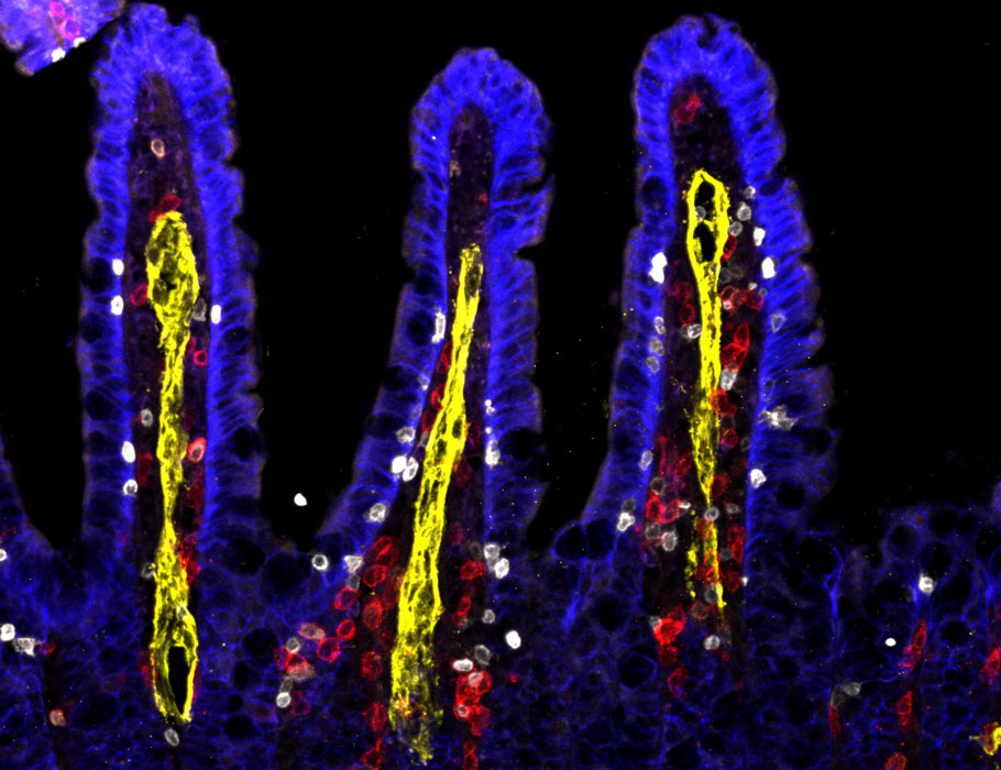 Science Magazine tweet media